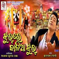 Jhul Re Kalia Jhul -Sricharan Mohanty